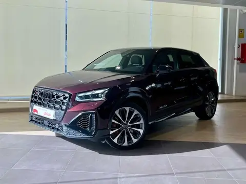 Annonce AUDI SQ2 Essence 2023 d'occasion 