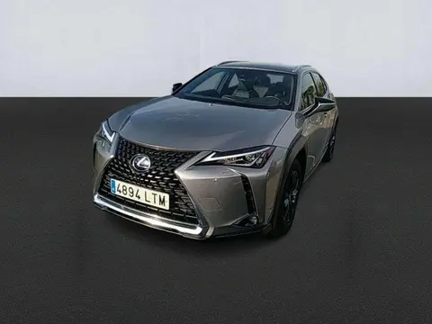 Annonce LEXUS UX Hybride 2021 d'occasion 