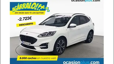 Used FORD KUGA Diesel 2020 Ad 