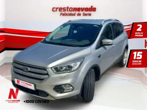 Used FORD KUGA Diesel 2018 Ad 