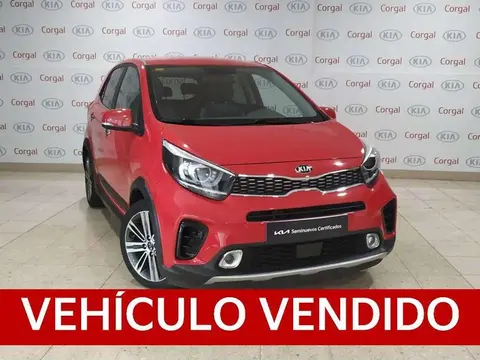 Annonce KIA PICANTO Essence 2019 d'occasion 