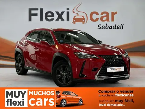 Used LEXUS UX Hybrid 2020 Ad 