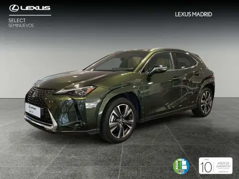 Annonce LEXUS UX Hybride 2024 d'occasion 