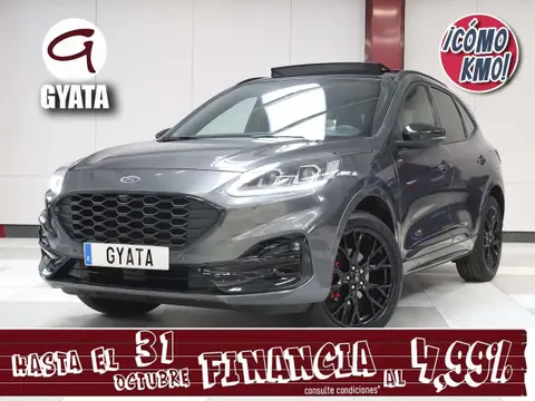 Used FORD KUGA Hybrid 2023 Ad 