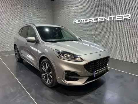 Annonce FORD KUGA Hybride 2022 d'occasion 