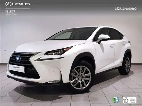 Used LEXUS NX Hybrid 2016 Ad 