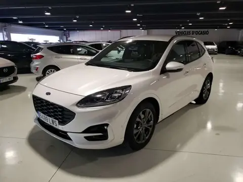 Annonce FORD KUGA Essence 2022 d'occasion 