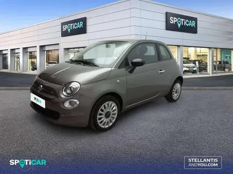 Used FIAT 500 Petrol 2023 Ad 