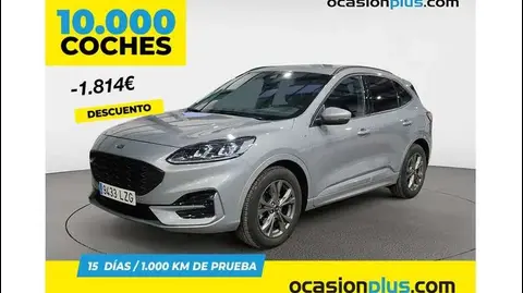 Used FORD KUGA Petrol 2022 Ad 