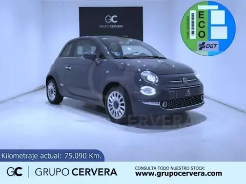 Annonce FIAT 500 GPL 2019 d'occasion 