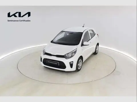 Annonce KIA PICANTO Essence 2023 d'occasion 