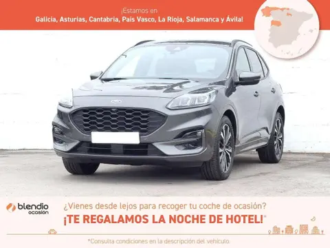 Annonce FORD KUGA Hybride 2022 d'occasion 