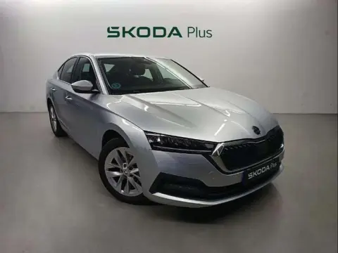 Used SKODA OCTAVIA Diesel 2020 Ad 