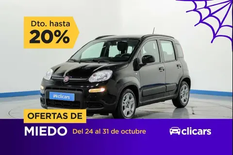 Used FIAT PANDA Petrol 2023 Ad 