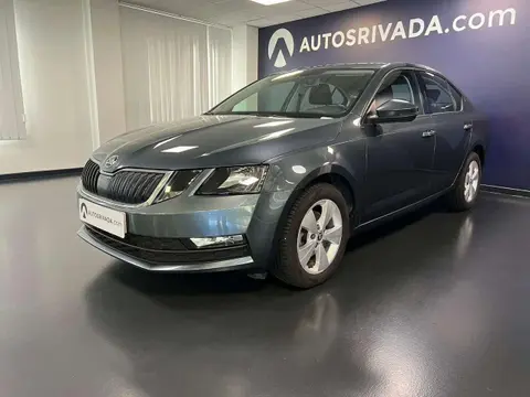 Annonce SKODA OCTAVIA Diesel 2019 d'occasion 