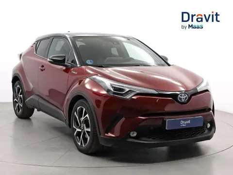 Used TOYOTA C-HR Hybrid 2019 Ad 