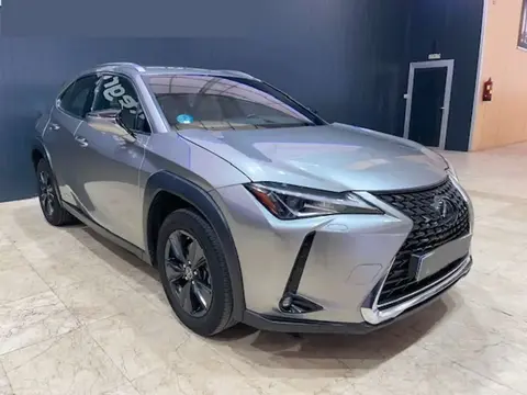 Annonce LEXUS UX Électrique 2021 d'occasion 