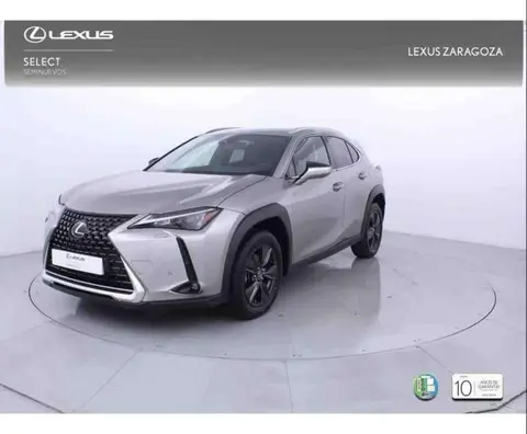 Used LEXUS UX Electric 2023 Ad 