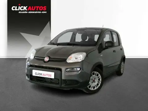 Used FIAT PANDA Hybrid 2024 Ad 