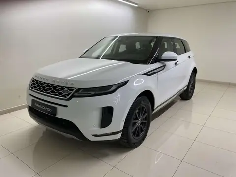 Used LAND ROVER RANGE ROVER EVOQUE Diesel 2020 Ad 