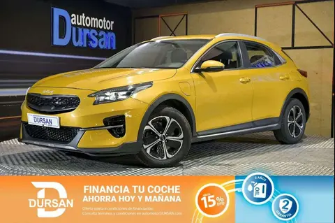 Annonce KIA XCEED Hybride 2022 d'occasion 