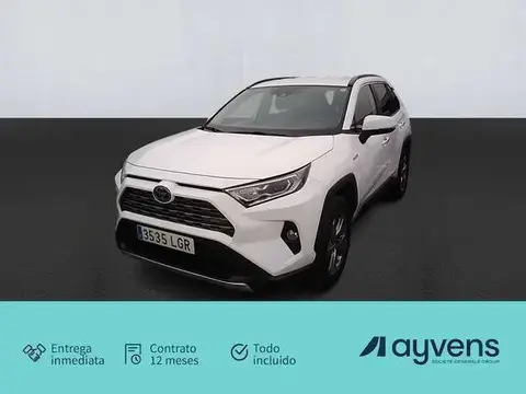 Used TOYOTA RAV4 Hybrid 2020 Ad 