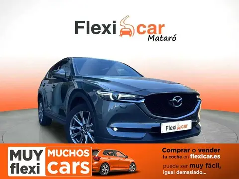 Used MAZDA CX-5 Petrol 2019 Ad 