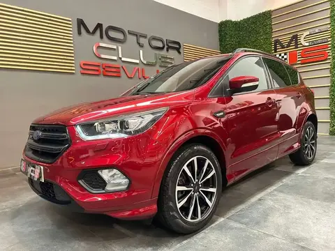 Annonce FORD KUGA Diesel 2019 d'occasion 