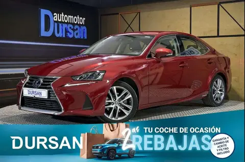 Used LEXUS IS Hybrid 2019 Ad 