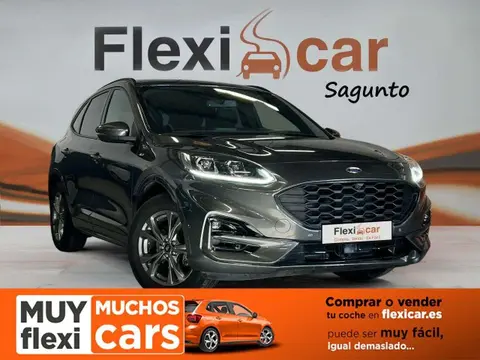 Used FORD KUGA Petrol 2020 Ad 