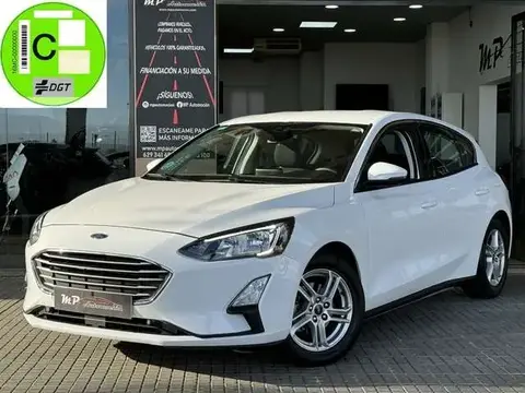 Annonce FORD FOCUS Diesel 2019 d'occasion 