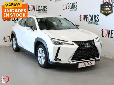 Annonce LEXUS UX Hybride 2021 d'occasion 