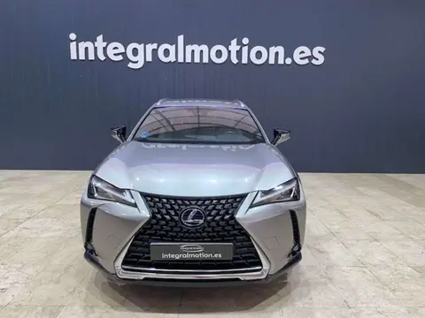 Used LEXUS UX Hybrid 2021 Ad 