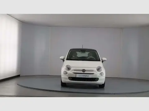 Used FIAT 500 Petrol 2019 Ad 