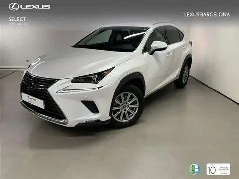 Annonce LEXUS NX Hybride 2019 d'occasion 