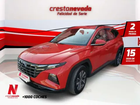 Annonce HYUNDAI TUCSON Hybride 2020 d'occasion 