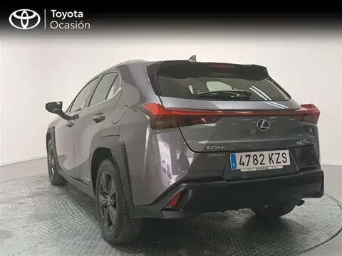 Used LEXUS UX Hybrid 2019 Ad 