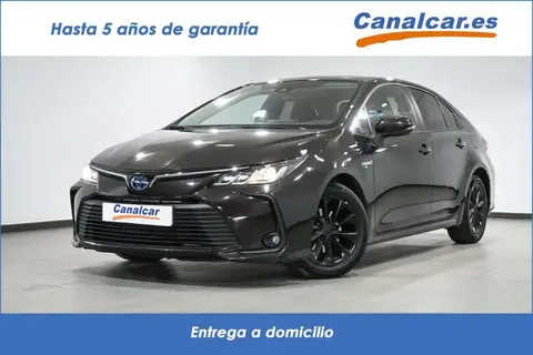 Annonce TOYOTA COROLLA Hybride 2019 d'occasion 