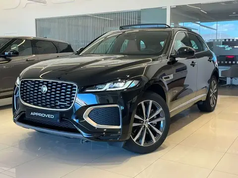 Used JAGUAR F-PACE Diesel 2024 Ad 