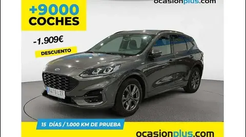 Used FORD KUGA Petrol 2022 Ad 