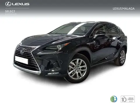 Used LEXUS NX Hybrid 2018 Ad 