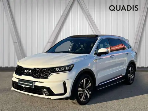 Annonce KIA SORENTO Hybride 2024 d'occasion 