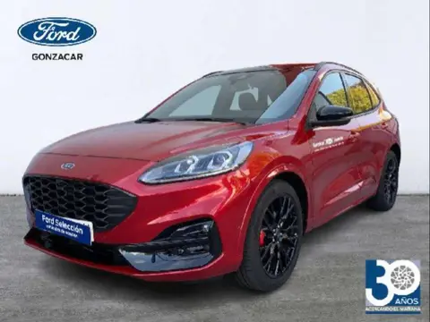 Annonce FORD KUGA Essence 2023 d'occasion 