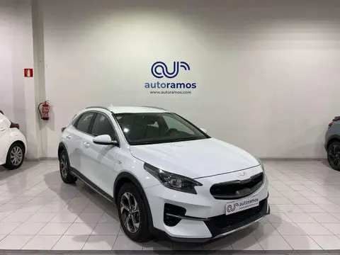 Used KIA XCEED Petrol 2022 Ad 