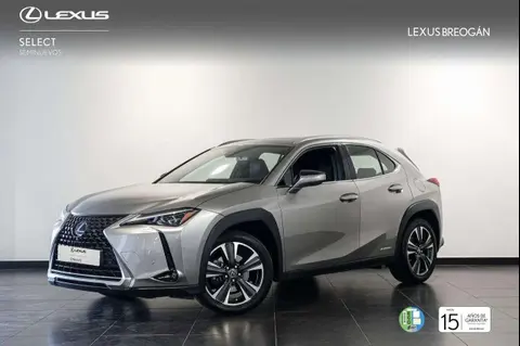 Used LEXUS UX Hybrid 2019 Ad 