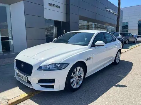 Annonce JAGUAR XF Diesel 2018 d'occasion 