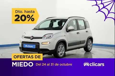 Used FIAT PANDA Petrol 2022 Ad 