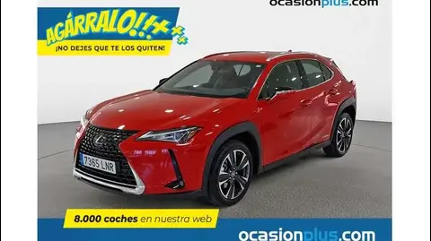 Annonce LEXUS UX Électrique 2021 d'occasion 