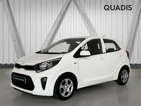 Annonce KIA PICANTO Essence 2023 d'occasion 