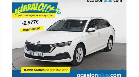 Annonce SKODA OCTAVIA Diesel 2022 d'occasion 